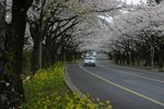 IMG_0172