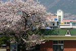 IMG_0517