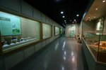 IMG_0567
