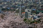 IMG_0580