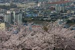 IMG_0581