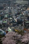 IMG_0582