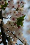 IMG_0588