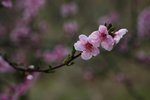 IMG_0624