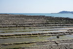 青島周圍o既海岸岩盤,古時係由海底堆積o既砂岩和泥岩規則化互相傾斜重疊而成