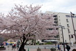 IMG_6338