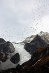 IMG_0246