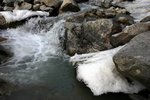 IMG_0281
