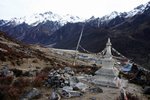 IMG_0310