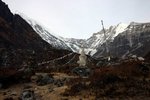 IMG_0311