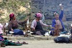 IMG_0524