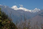 IMG_0618