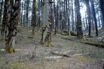 IMG_0640