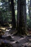 IMG_0643