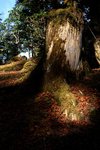 IMG_0645
