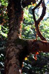 IMG_0650