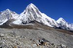 Chumbu (6859m), Pumori (7165m) & Lingtren (6713m)