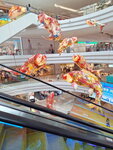 DSCN03128