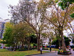 DSCN03156