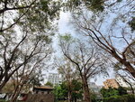 DSCN03157