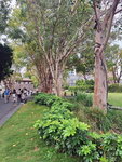 DSCN03159