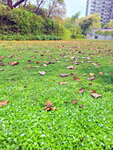DSCN03161
