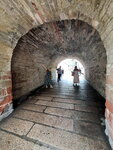 DSCN03168