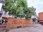 DSCN03239