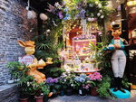 DSCN03253