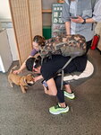 DSCN03303