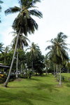 DSC02462
