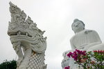 DSC01650