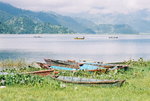 Phewa Tal (費娃湖)