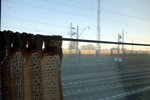 IMG_0948
