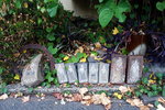 DSCN02531