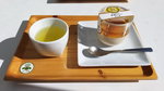 DSCN03599