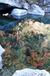 DSCN03616