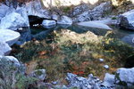 DSCN03617