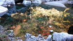 DSCN03618