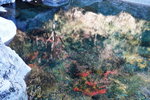 DSCN03619