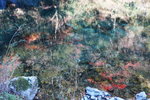 DSCN03621