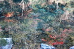 DSCN03622