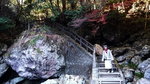 DSCN03627