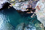 DSCN03633