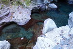 DSCN03646