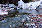 DSCN03651