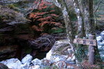 DSCN03653