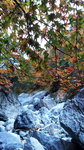 DSCN03654