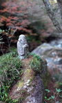 DSCN03655