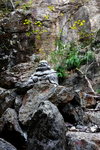 DSCN03659